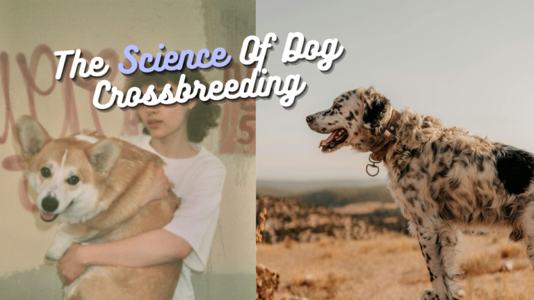 The Science Of Dog Crossbreeding: Surprising Genetics and Amazing Traits