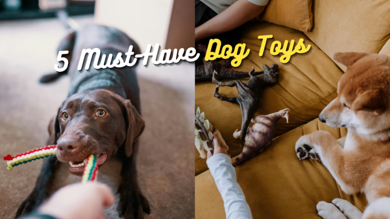 The 5 Best Dog Toys for your Amazing Crossbreed